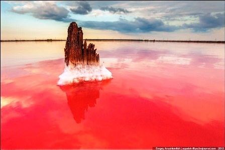 Rực rỡ khu đầm muối tuyệt đẹp ở bán đảo Crimean - 14 Đình Huế